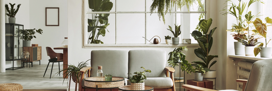 Airbnb Budget Tips: How to Save Money and Run a Profitable Rental